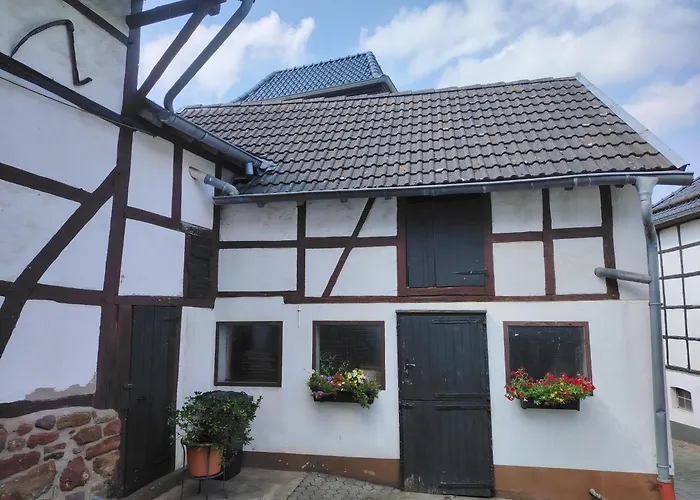 Gemuetliches Bauernhaus Am Nationalpark Eifel