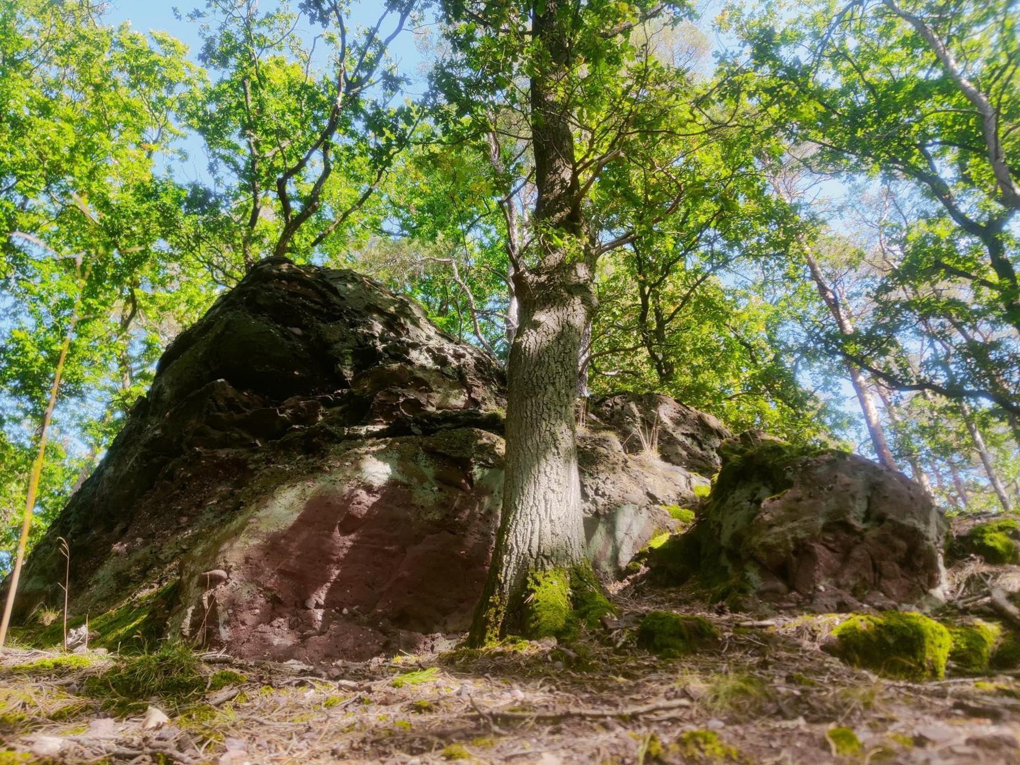 Gemuetliches Am Nationalpark Eifel *